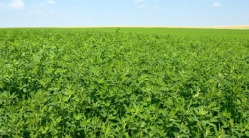 First Choice Agro - Tarım Makinaları 